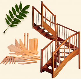 Ступени ЯСЕНЬ